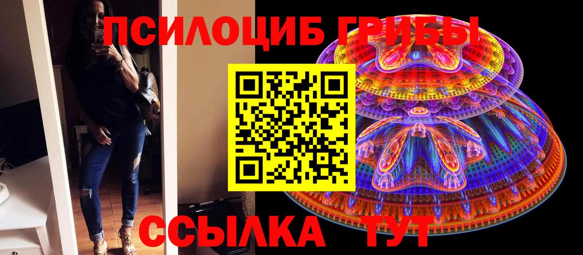 Псилоцибиновые грибы GOLDEN TEACHER  Вход с VPN  Псилоцибиновые грибы ЛСД  Гурьевск 